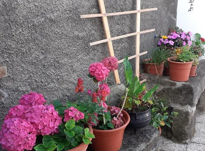 Casa Da Travessa Semesterbostad *